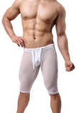 Sheer Knee-Length Tights Modern Undies