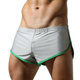 High Slit Mesh Shorts Modern Undies