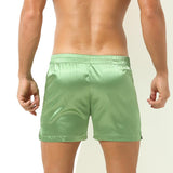 Silky Lounge Shorts Modern Undies