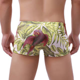 Bahamas Swim Trunks Modern Undies parrots 2 27-29in (69-74cm)