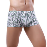 Bahamas Swim Trunks Modern Undies