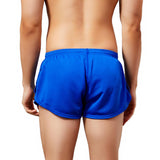 Alpha Training Shorts Modern Undies