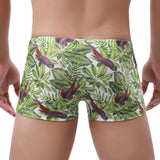 Bahamas Swim Trunks Modern Undies