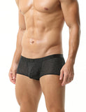 Glimmer Trunks Modern Undies   