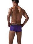 Stretch Semi-Sheer Trunks Modern Undies   