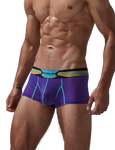 Stretch Semi-Sheer Trunks Modern Undies   