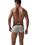 Stretch Semi-Sheer Trunks Modern Undies   