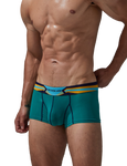 Stretch Semi-Sheer Trunks Modern Undies   