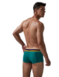 Stretch Semi-Sheer Trunks Modern Undies   