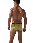 Stretch Semi-Sheer Trunks Modern Undies   