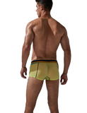 Stretch Semi-Sheer Trunks Modern Undies   