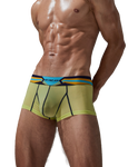 Stretch Semi-Sheer Trunks Modern Undies   