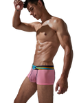 Stretch Semi-Sheer Trunks Modern Undies   