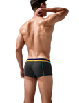 Stretch Semi-Sheer Trunks Modern Undies   