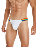 Rainbow Mesh Bikini Modern Undies   