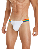 Rainbow Mesh Bikini Modern Undies   