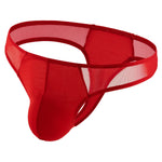 Stretchy Half-Sheer Thong Modern Undies   