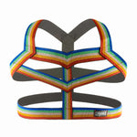 Rainbow V-Strap Harness Modern Undies   