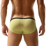 Package Semi-Sheer Briefs Modern Undies   