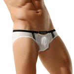 Package Semi-Sheer Briefs Modern Undies   