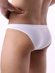 Classic Bikini Briefs Modern Undies