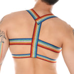 Rainbow V-Strap Harness Modern Undies   