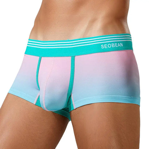 Summer Gradient Trunks Modern Undies   