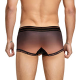 Gradient Trunks Modern Undies   