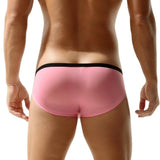 Package Semi-Sheer Briefs Modern Undies   