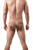 Rainbow Leopard Bikini Briefs Modern Undies   
