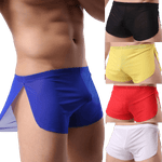 4 Pack Sheer Slit Shorts Modern Undies Mix 26-29in (66-75cm) 4pcs