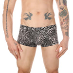 Leopard Trunks Modern Undies   