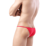 Irresistible String Bikini Modern Undies   