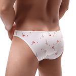 Playtime Briefs Modern Undies   