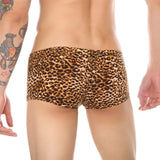 Leopard Trunks Modern Undies   