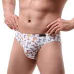 Playtime Briefs Modern Undies   