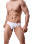 Soft Touch Briefs Modern Undies   