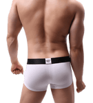 Showstopper Trunks Modern Undies   