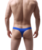 5 Pack Everyday Fashion Thong Modern Undies   