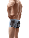 Tropical Sheer Trunks Modern Undies   