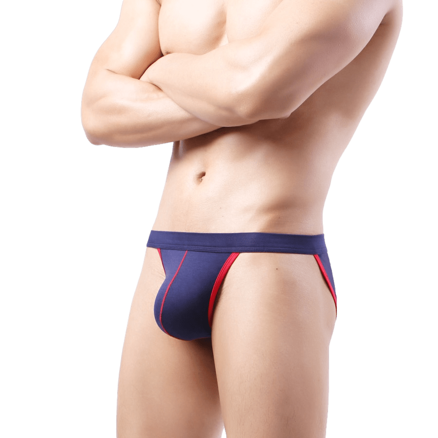 4 Pack Irresistible Tanga Briefs Modern Undies 