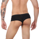Thrust Mesh Cheeky Briefs Modern Undies   