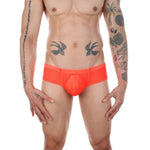 Thrust Mesh Cheeky Briefs Modern Undies   