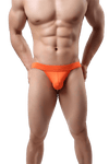 Everyday Tanga Briefs Modern Undies   