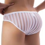 Vertical Stripe Briefs Modern Undies   