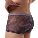 Trippy Sheer Trunks Modern Undies   