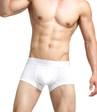 Cozy Pouched Cotton Trunks Modern Undies   