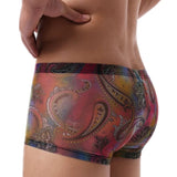 Trippy Sheer Trunks Modern Undies Rainbow 26-29in (66-75cm) 