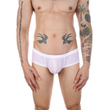 Thrust Mesh Cheeky Briefs Modern Undies   