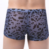 Sheer Jungle Trunks Modern Undies   